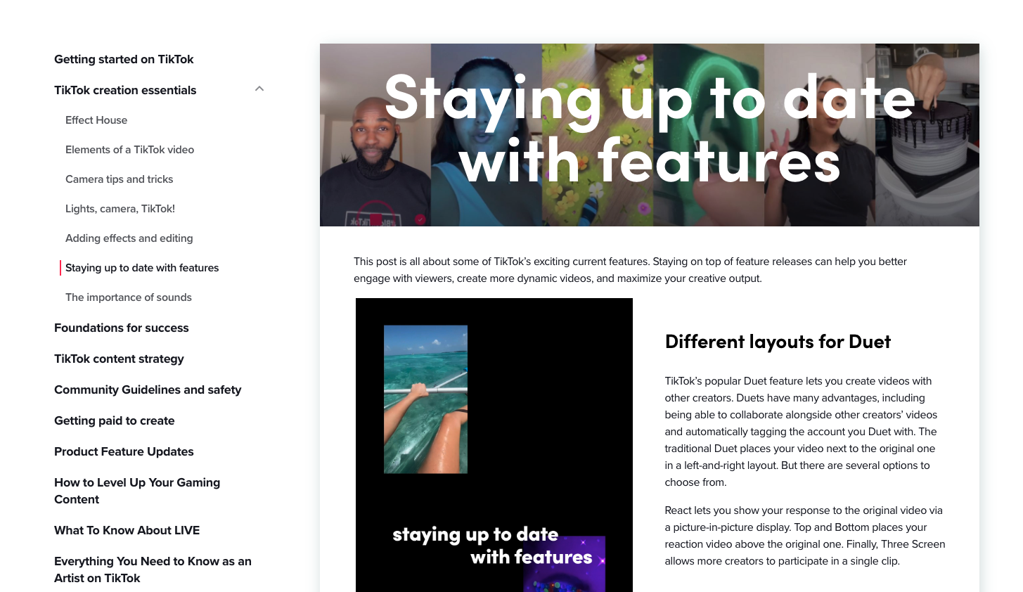 Target Audience for TikTok High Social TikTok