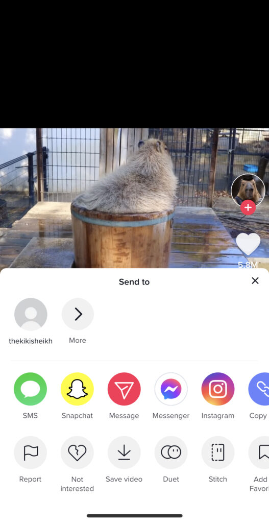 Screenshot showing option to Stitch a video on TikTok. 