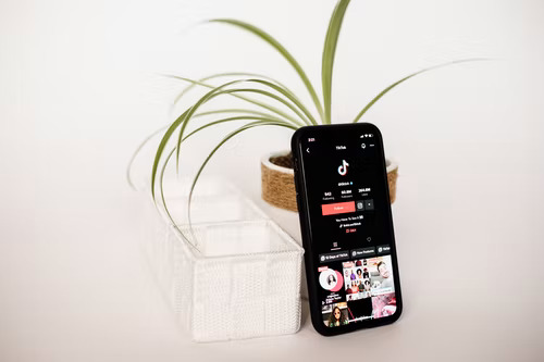 Black phone leaning against a plant and displaying Tiktok’s profile page.  