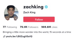 Screenshot of zachking TikTok bio featuring follow button, following, followers, and like counts.
