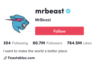 Screenshot of mrbeast TikTok bio featuring follow button, following, followers, and like counts.