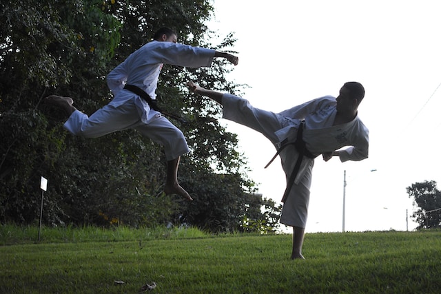 Deux hommes faisant du karaté sur un terrain herbeux. 