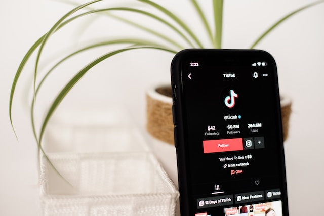 Schermata del telefono che visualizza la pagina ufficiale di TikTok. 