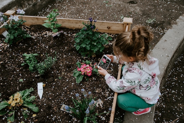 Una ragazza che fotografa dei fiori con la fotocamera del telefono. 