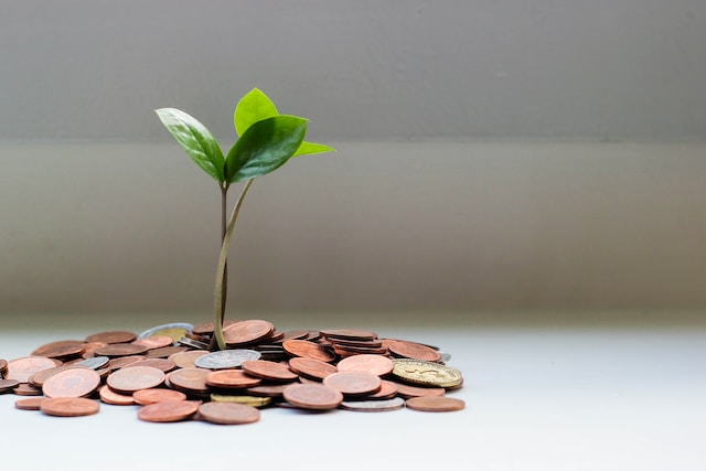 A small plant surrounded by coins. 