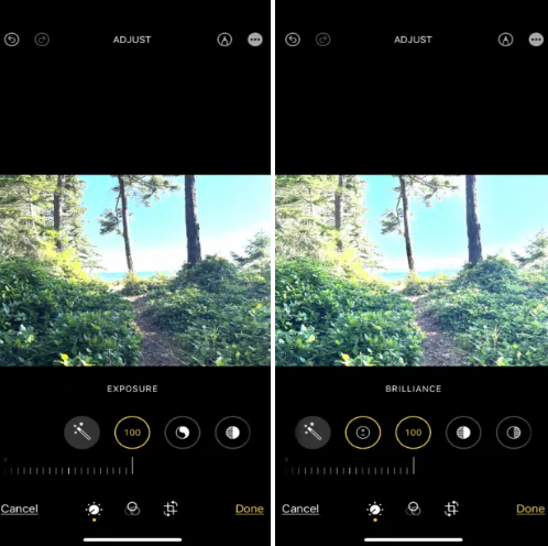 森の中の小道のスクリーンショット2枚で、画像の露出と輝きの調整方法を示す。 