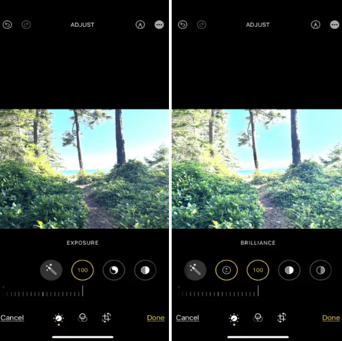 两张林中小路的截图，展示了如何调整图像的曝光和亮度。 