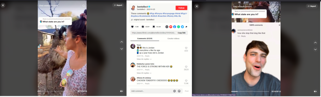 Panel of TikTok screen shots featuring a TikTok video, the comment section, and a Stitch.
