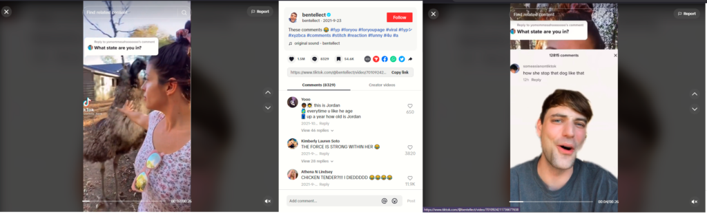 Panneau de captures d'écran TikTok présentant une vidéo TikTok, la section des commentaires et un Stitch.