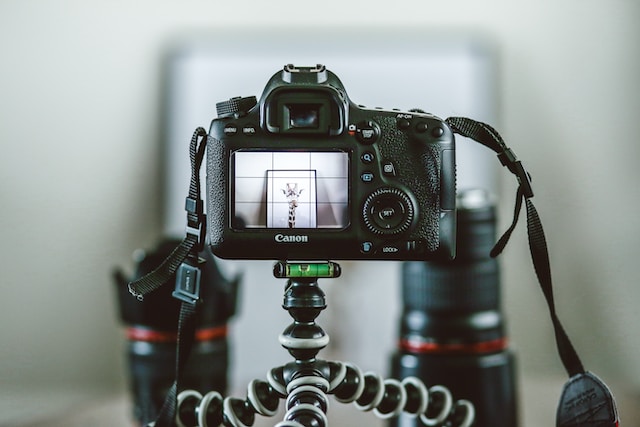 A DSLR camera set up in front of a framed image.