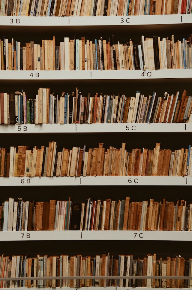 A shelf full of novels. 