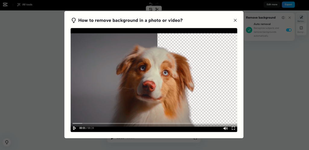 Screenshot of CapCut video tutorial on how to remove background in a photo or video.
