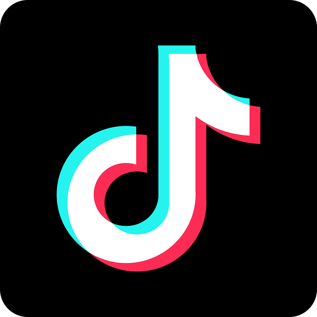 A picture of TikTok’s logo on a black background.