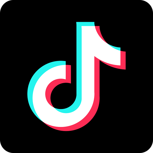 黑底 TikTok 徽标图片。