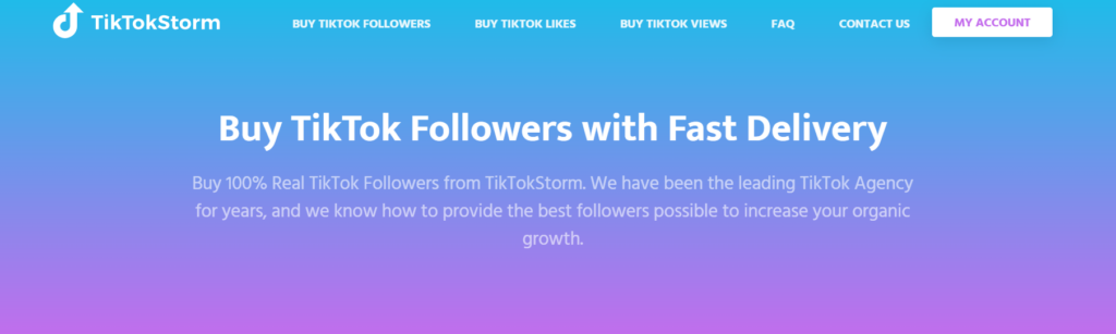 High SocialによるTikStormのTikTokフォロワー購入ページのスクリーンショット。