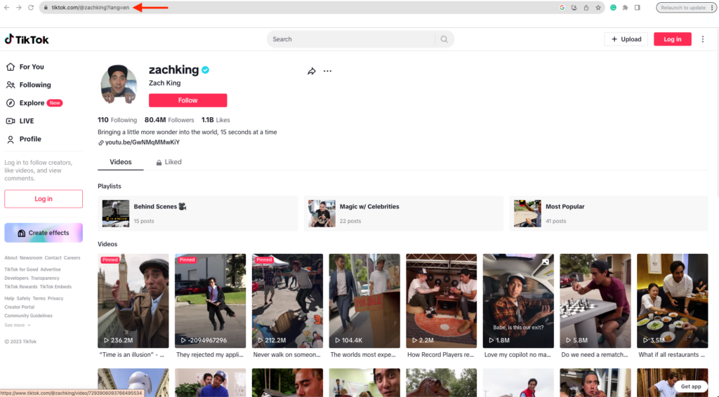 A TikTok page with a red arrow pointing to the address bar.