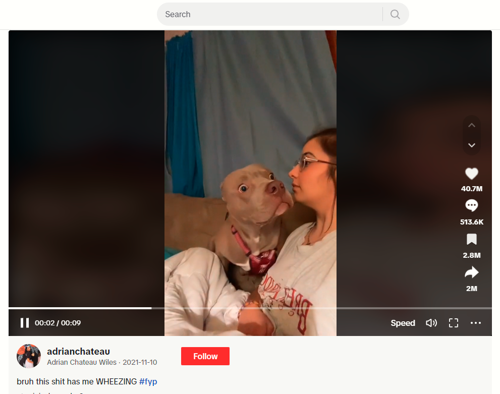 틱톡 동영상에서 우스꽝스러운 표정을 짓고 있는 여성과 강아지의 스크린샷입니다. 