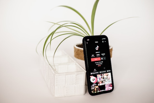 桌子上植物旁的手机图片，显示 TikToker 的个人资料和视频。