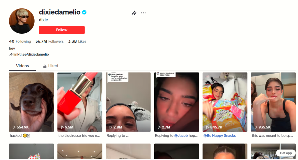 A screenshot of a TikTok profile featuring a top female influencer. 