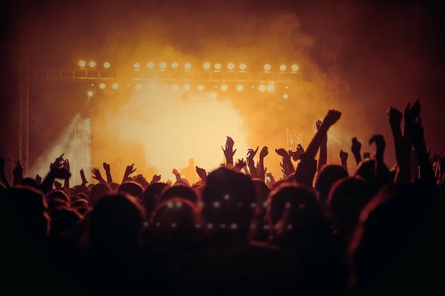 A photo of a large, lively audience at a music concert. 