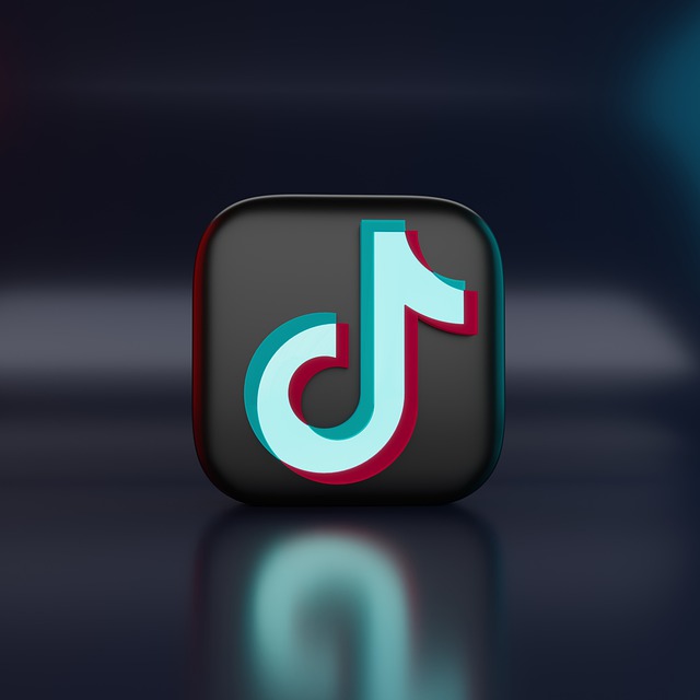 A picture of the TikTok logo on a black square tile.