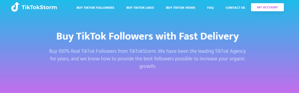 Captura de pantalla de High Social de la página de compra de seguidores de TikTokStorm.