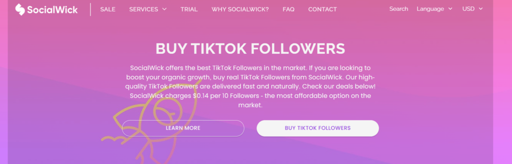High Social’s screenshot of an informational page from SocialWick.