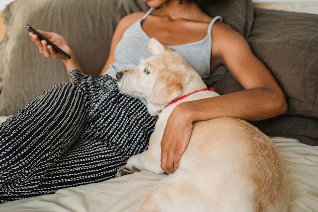 Uma foto de uma mulher e seu cachorro assistindo a vídeos em seu telefone. 