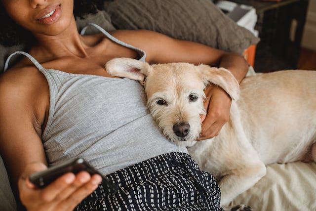 A woman and her dog lie on the bed while she browses on her phone. 
