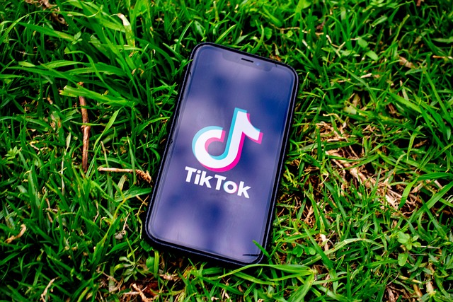 A picture of the TikTok logo and name displayed on a black smartphone on a grass bed.