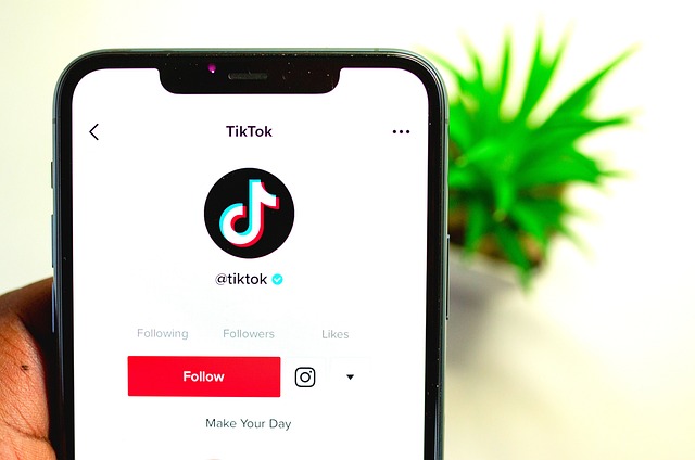 Image du format d'un profil TikTok affiché sur l'écran d'un smartphone.