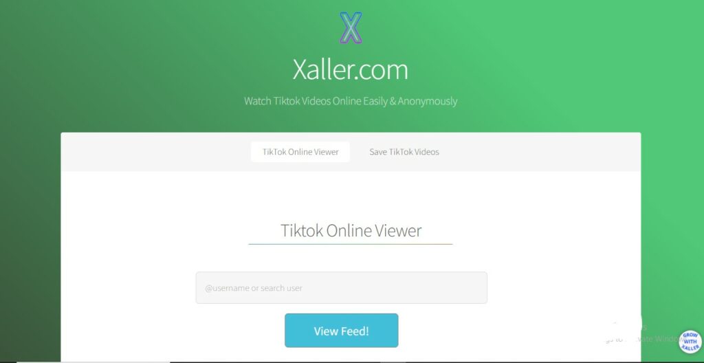 하이소셜의 브라우저에 표시된 Xaller 웹사이트 홈페이지 스크린샷.