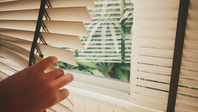 A person pushes open white window blinds to look outside. 