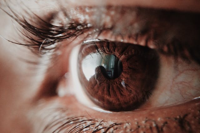 A close-up shot of a person’s brown eye. 
