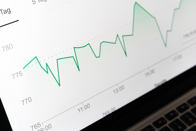 Lo schermo di un computer mostra grafici a linee per un periodo specifico.