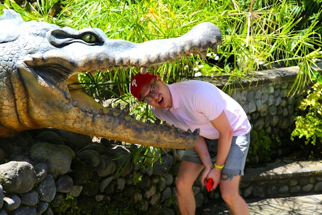 A man places his head in the mouth of an alligator sculpture.
