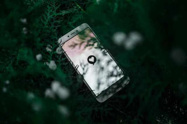 A smartphone sits on green branches and displays a white heart on its screen. 

