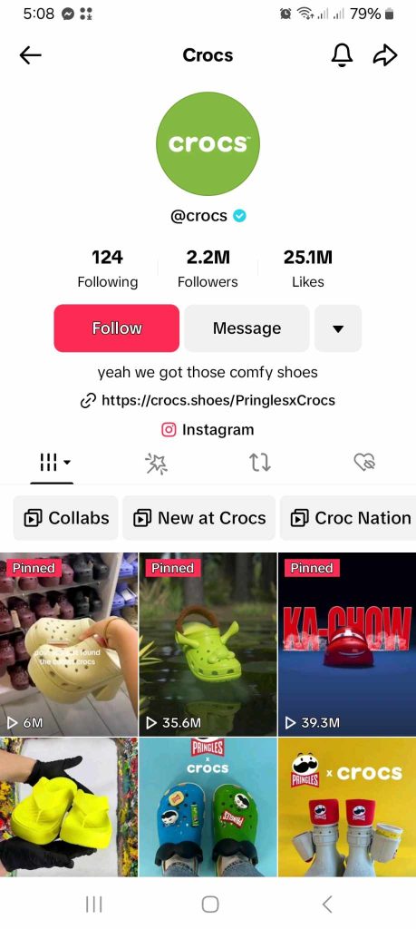 하이 소셜의 스크린샷은 크록스 브랜드의 공식 틱톡 페이지를 보여줍니다.