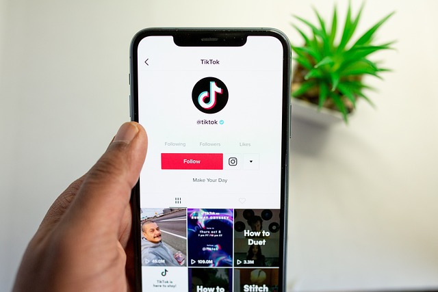 A person holds a phone displaying TikTok’s profile on TikTok.
