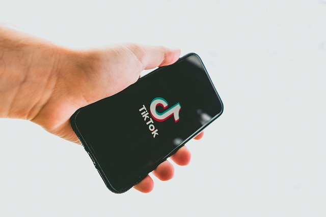  A person holds a phone showing the TikTok logo.
